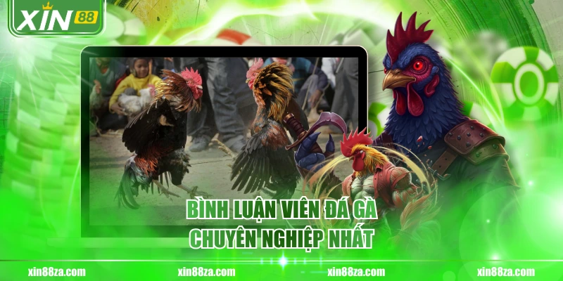 Bình luận viên đá gà chuyên nghiệp nhất