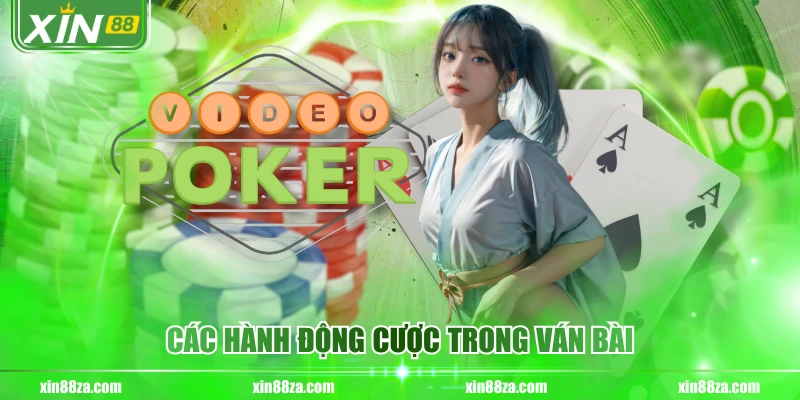 Các hành động cược trong ván bài