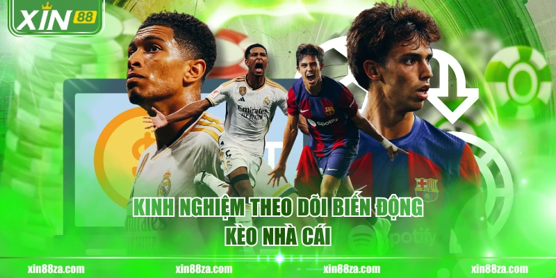 Kinh nghiệm theo dõi biến động kèo nhà cái