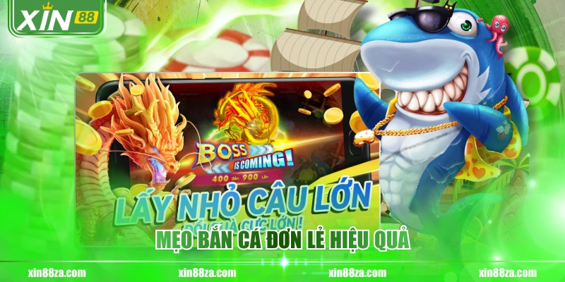 Mẹo bắn cá đơn lẻ hiệu quả