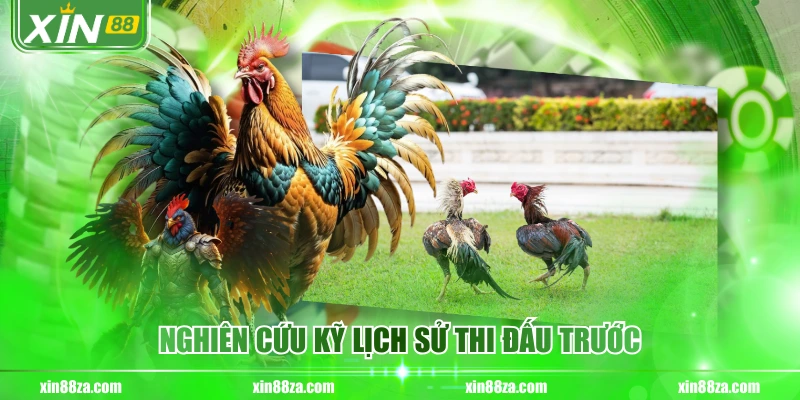 Nghiên cứu kỹ lịch sử thi đấu trước