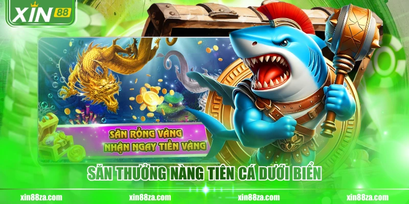 Săn thưởng nàng tiên cá dưới biển