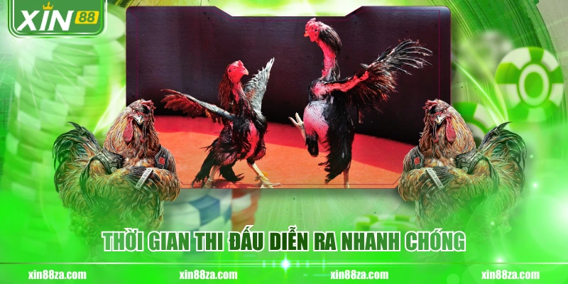 Thời gian thi đấu diễn ra nhanh chóng