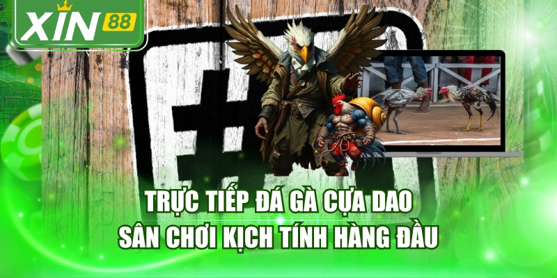 Trực Tiếp Đá Gà Cựa Dao - Sân Chơi Kịch Tính Hàng Đầu