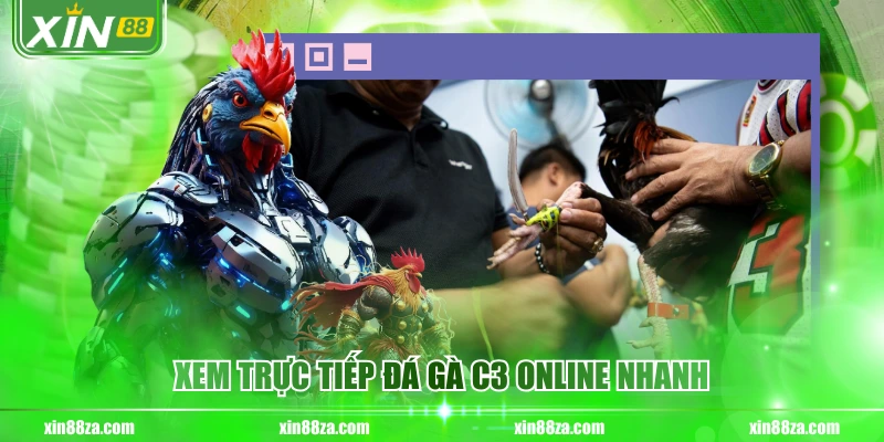 Xem trực tiếp đá gà c3 online nhanh